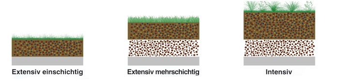 Aufbach einer Dachbegrünung