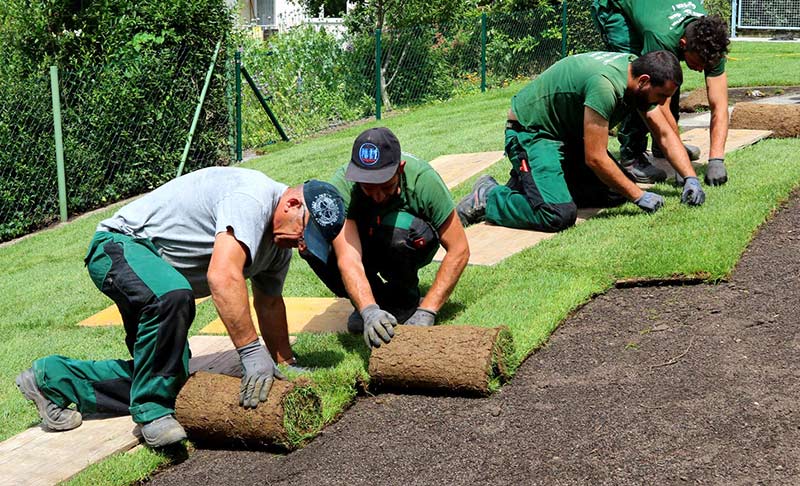 Rollrasen mit Ulopor Rasensubstrat